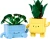 aa150e1a9efcda202b8f4fcdb2aeeff8.webp