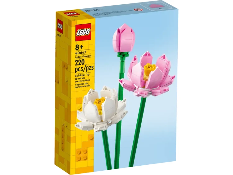 b980aca1020de23d39ce4d57d54f517a.webp