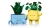 6ad5475f412b3abcc5e1deb5aceea6ab.webp