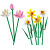 bf10219d62d8de8bf5dba53b88272fb1.png
