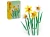 31cb5203111649f21d545ef2a25c2edb.webp