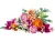 f551f0649edbc1b64d4d2e45cbf20a01.webp