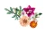 656f8dfca8fa82b29d5b7414d91a27a3.webp