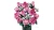a576786ea1bd22dfbe4f1213ddfdf247.webp