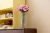 cadf6daad12cf5507604e08332c357eb.webp
