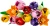 cad3315674834d9b39702f275b3eb342.webp