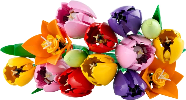 cad3315674834d9b39702f275b3eb342.webp
