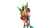 b02aab78264353b4b587cad3cba4f2dc.webp