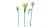 47c1d1eb53a2e97e89925a6d8b493c2b.webp
