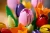 6253d55d1124d8ba5dfac895d6add807.webp