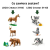 cca17a0091a6f1a68a18fa3be660af96.png