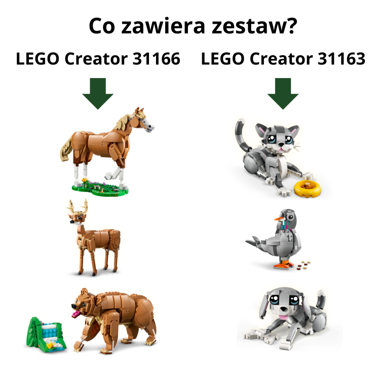 cca17a0091a6f1a68a18fa3be660af96.png