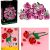 84f08bb49f1767047406c38c83499f39.png