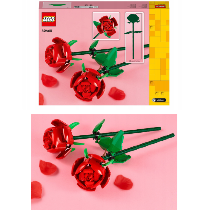 0f61c56ef509c3ae16ed2c785adc2af2.png