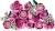 c3f0430cd406502d497626adbf72aca0.webp
