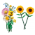 30a06416c5cdf3dffa6cb0cf9dd04ae1.png