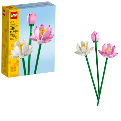 2858532afef3dbbc4d109f9048a01297.png