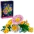 08dad0734546318561272691df9ed727.webp