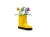 22571bf1d04fc22528915e9de7c78446.webp