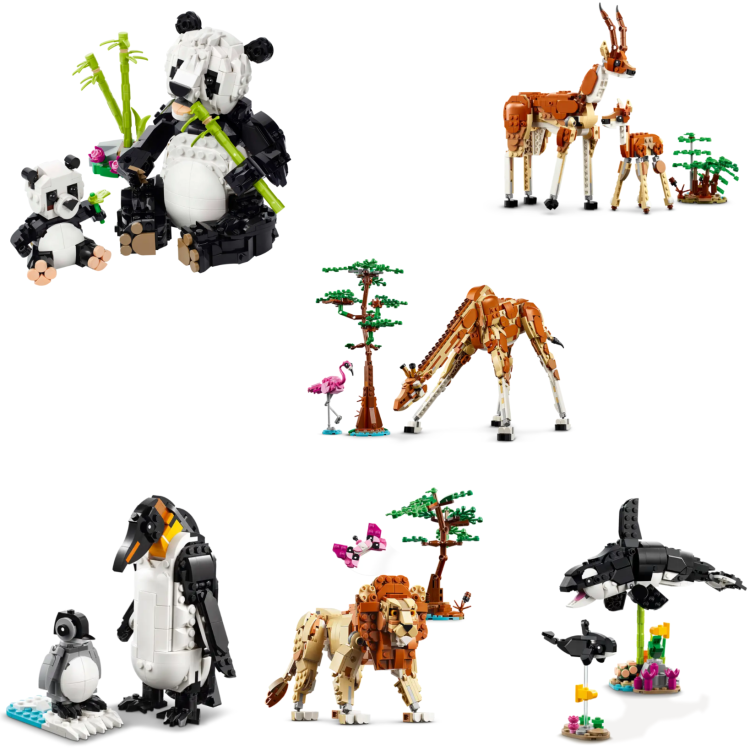 98b058d67e9b80f0248b9641a2d5560a.png