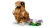 6e534a7c714836afb3fe10cee6fd0ec3.webp