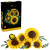 778271a474d48ee425321c442f9dd69e.png
