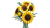 31137a75801a540faa03b0c45d35001b.png