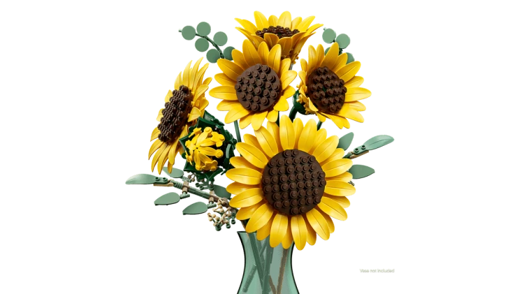 31137a75801a540faa03b0c45d35001b.png