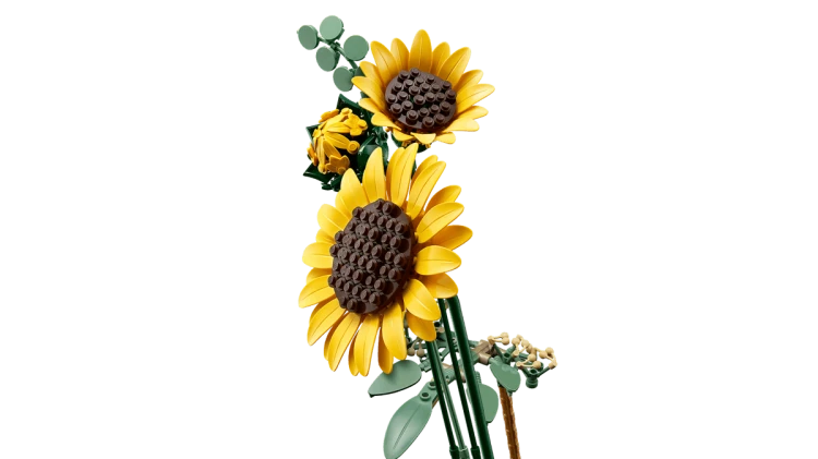 051ed36737c5f5546141608d463e74a3.png