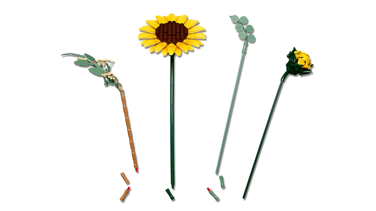 d319349614e500e2c1ac96325137c08a.png