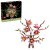 c0a68ce448d6fc1930b9b5da6b5b56aa.png
