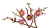 06446629fa86f58438c93d0e0926a7e6.png