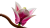 7ce813617348a9454b1ab6b130026c44.png