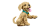 9482780fdef7a752b6541264e75bf728.png