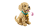 0b3761e12b9d16e3ffcf126705a01e7e.png