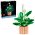 66be7a5826543f130e050f4470618eb7.png