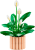 d1cb74793ebaa4fb2c8fc6b419363ca8.png