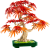 0762ea47ce3270ad74a902387d7bf008.png