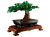 c3bd8311c3b48dd5784a6a16d3adf99c.png