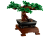 bd9d601a9d20d8c16aeb4c6bf2d4f66c.png