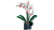 ea2ddaeae5fb88bcdc6faa9c4abd877b.png
