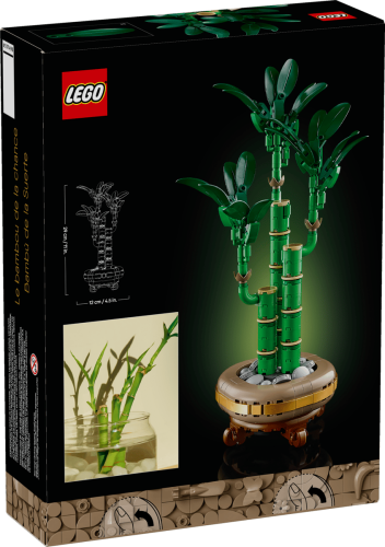 3038d4770d328eac050028cb0b05c0da.png