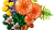 10321dca26a0c8bce2ad4b29f26e7be2.png