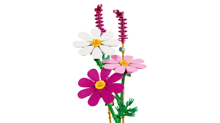87a7ac65b7e42e686a81c5a6249a5aff.png