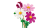 a892190aeb5a9af387df3c7b357fb90c.png