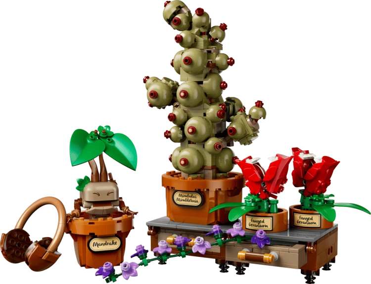 c2d9ef5d505b6bb764256c585a3c3eb6.png