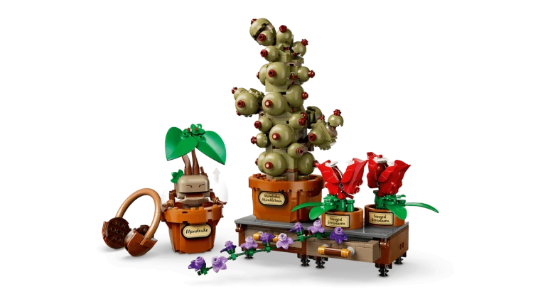 e80072dd08f69738d825766a244c122f.png
