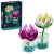 fff29bcca6a98389c62bf82e680704c3.png